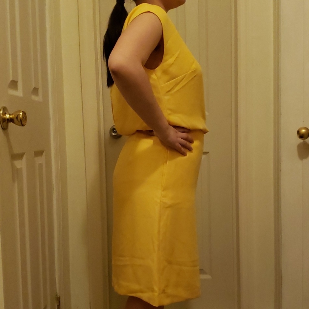 💫Banana Republic Cinch Waist Dress - Picture 5 of 7